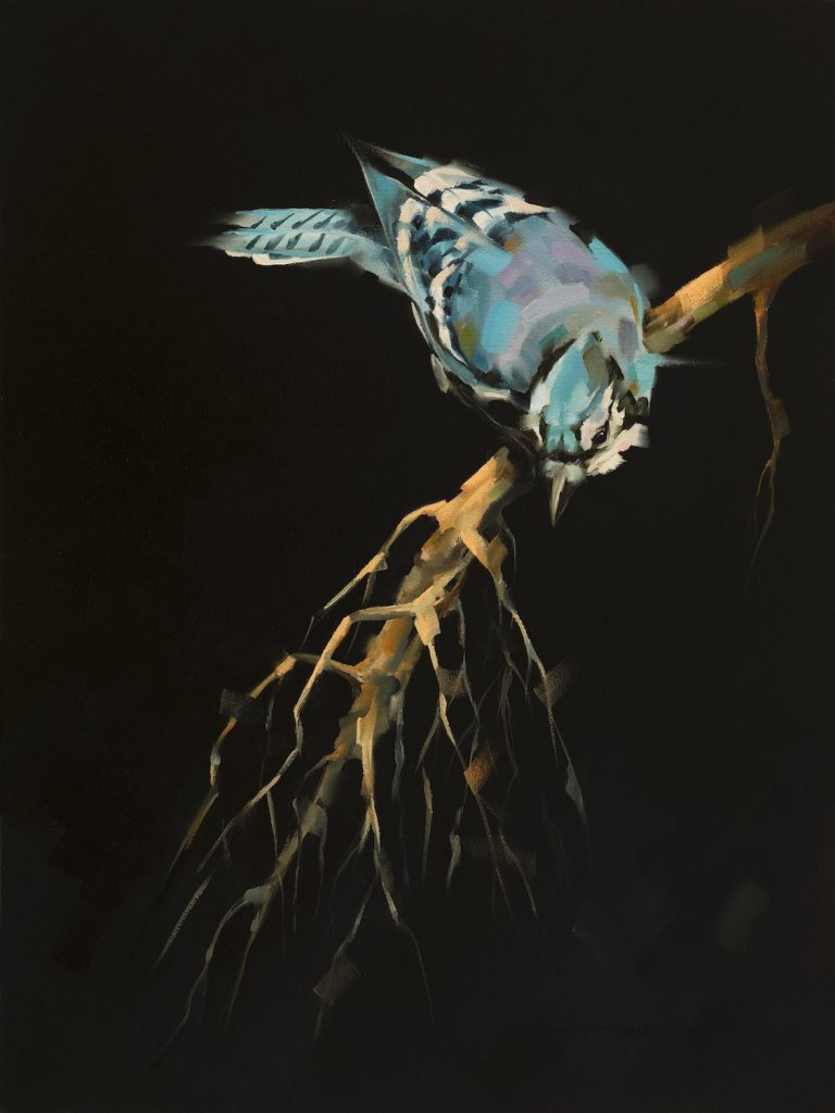 Painting of a blue jay on a branch against an inky black backdrop by Kathryn Ashcroft