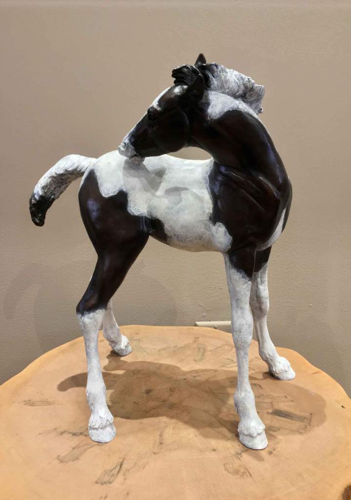 Bronze sculpture of a black and white foal scratching his back with his teeth by Star Liana York